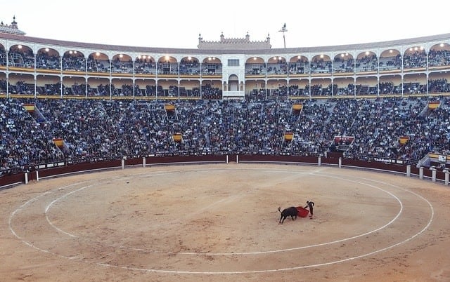 arena bullfighter vacant