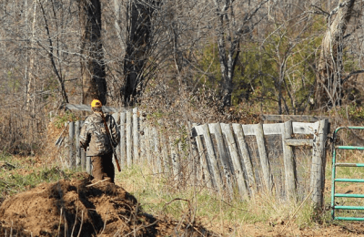 Understanding AR-15 for Hunting 2 https://lh5.googleusercontent.com/so-KX_jDRjf0JDynu46yDOkI72xslF1GoVkWlgpe0hlrvawtWmq-iD9Va0jjEibFO-Y0G_DjNjLUf-jX1dOIgheJsRyJQkgEsg9nykqQCKTIy5ORS1E4xXUpd9Hz1L6lePhD0Ny2